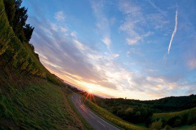 Le plaisir d'aller chercher le pain_5046067441_l.jpg